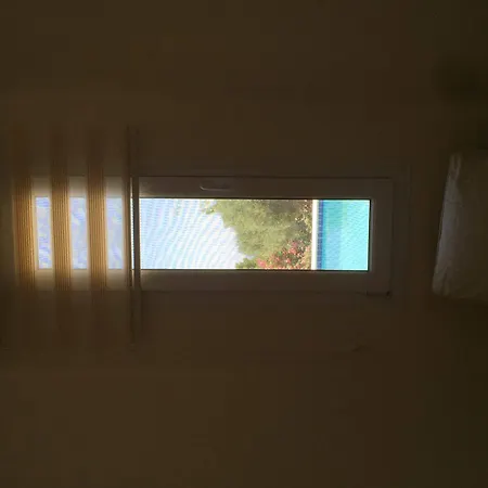 Lacitrus And Otel 3*
