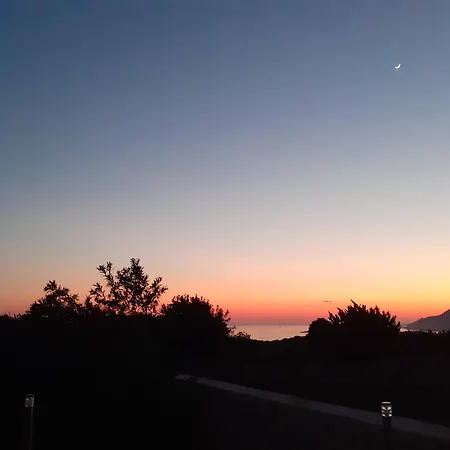 Lacitrus And 3* Kaş